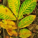 dsc_0245_edited-2