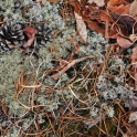 f-dr-shmunk-looking-glass-rock-2011-04-09_0463_ed2