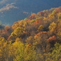 lgr-oct-29-2010_0323_edited-3