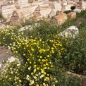DSC_2208_edited-2