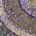 2012-06-27_9749_edited-3