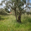 DSC_1658_edited-4