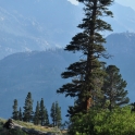2015-07-26_9936_edited-4