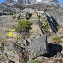 2015-07-27_9893_edited-3