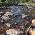 2015-07-28_9831_edited-3