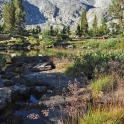 2015-07-29_9754_edited-5