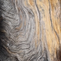 2015-07-29_9799_edited-4