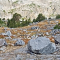 2015-07-31_9557_edited-4