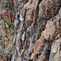 2015-07-31_9590_edited-3