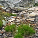 2015-07-31_9614_edited-5