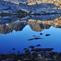 2015-08-01_9494_edited-3