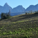 Tetons-August-2010_5589_ed3_edited-4