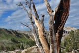 Teton Range, WY