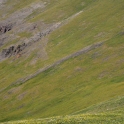 DSC_2745_edited-2