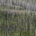 DSC_2886_edited-2
